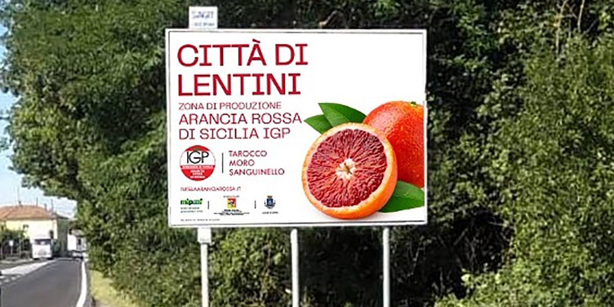 Slow Food valorizza l'Arancia Rossa di Sicilia Igp